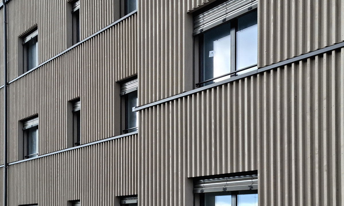 Fassade MFH Kneubühler, Nebikon